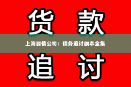 上海要债公司：债务追讨剧本全集