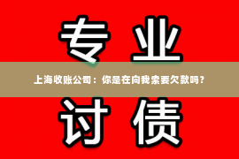 上海收账公司：你是在向我索要欠款吗？