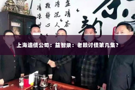上海追债公司：益智录：老赖讨债第几集？