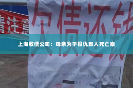 上海收债公司：母亲为子报仇致人死亡案