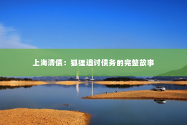 上海清债：狐狸追讨债务的完整故事