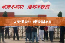 上海讨债公司：鄂博讨债全剧集