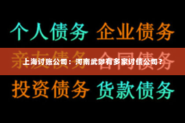 上海讨账公司：河南武陟有多家讨债公司？