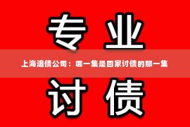 上海追债公司：哪一集是回家讨债的那一集