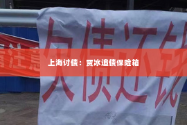 上海讨债：贾冰追债保险箱