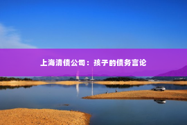 上海清债公司：孩子的债务言论