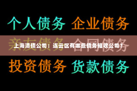 上海清债公司：连云区有哪些债务催收公司？