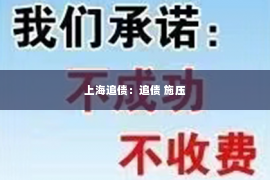 上海追债：追债 施压