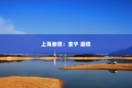 上海要债：索子 追债