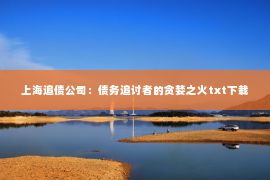 上海追债公司：债务追讨者的贪婪之火txt下载