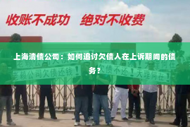 上海清债公司：如何追讨欠债人在上诉期间的债务？