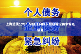 上海追债公司：总经理向股东提起诉讼要求偿还债务