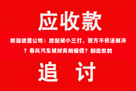 雨湖调查公司：原配被小三打，警方不依法解决？春风汽车被财务局催债？都是假的