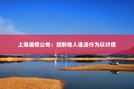 上海追债公司：控制他人违法行为以讨债