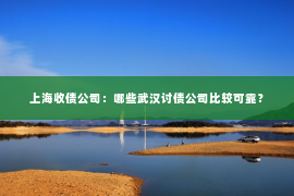 上海收债公司：哪些武汉讨债公司比较可靠？