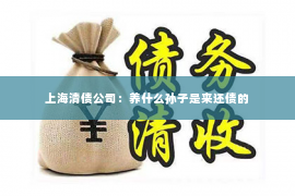 上海清债公司：养什么孙子是来还债的