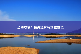 上海收债：债务追讨与资金借贷