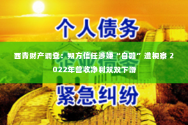 西青财产调查：朔方信任涉嫌“自融”遭视察 2022年营收净利双双下滑