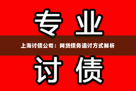 上海讨债公司：网贷债务追讨方式解析