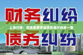 上海讨债：樊胜美家遭遇债务追讨的哪一集