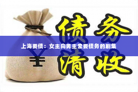 上海要债：女主向男主索要债务的剧集
