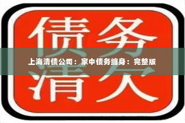 上海清债公司：家中债务缠身：完整版