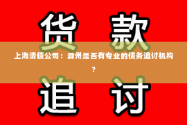 上海清债公司：滁州是否有专业的债务追讨机构？