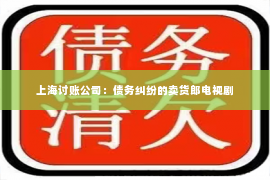 上海讨账公司：债务纠纷的卖货郎电视剧