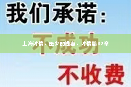 上海讨债：墨少的逃妻：讨债篇37章