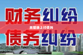 黑猫晚上讨债吗