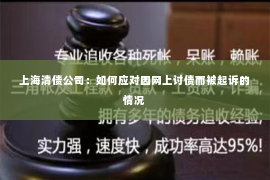 上海清债公司：如何应对因网上讨债而被起诉的情况