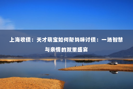 上海收债：天才萌宝如何帮妈咪讨债：一场智慧与亲情的双重盛宴