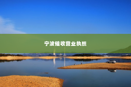 宁波催收营业执照