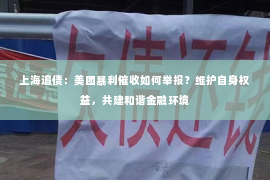 上海追债：美团暴利催收如何举报？维护自身权益，共建和谐金融环境