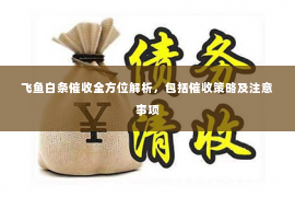 飞鱼白条催收全方位解析，包括催收策略及注意事项
