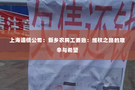 上海追债公司：新乡农民工要账：维权之路的艰辛与希望