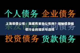 上海收债公司：海城有要账公司吗？揭秘债务催收行业的现状与选择