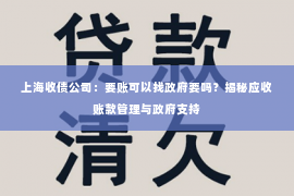 上海收债公司：要账可以找政府要吗？揭秘应收账款管理与政府支持