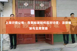 上海讨债公司：在新加坡如何应对讨债：法律框架与实用策略