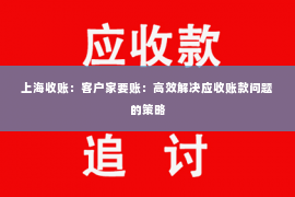 上海收账：客户家要账：高效解决应收账款问题的策略
