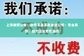 上海要债公司：徐州丰县本地要账公司：专业高效，助力企业无忧追债