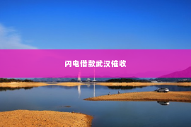 闪电借款武汉催收