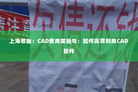 上海收账：CAD使用需账号：如何高效利用CAD软件