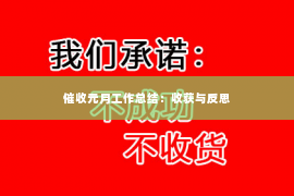 催收元月工作总结：收获与反思