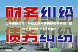 上海要账公司：抖音上最火的要账动物视频：揭秘动物界的“讨债高手”