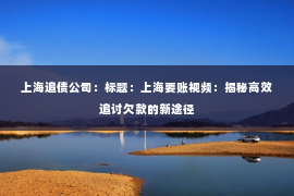 上海追债公司：标题：上海要账视频：揭秘高效追讨欠款的新途径