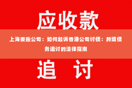 上海要账公司：如何起诉香港公司讨债：跨境债务追讨的法律指南
