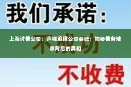 上海讨债公司：声称追债公司要账：揭秘债务催收背后的真相