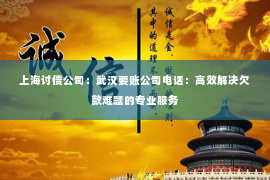 上海讨债公司：武汉要账公司电话：高效解决欠款难题的专业服务