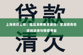 上海收债公司：姐姐来弟弟家要账：家庭债务处理的法律与情感考量